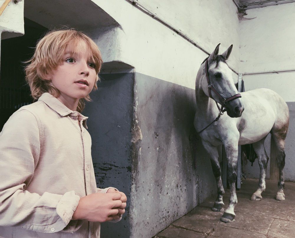 Only the Horses