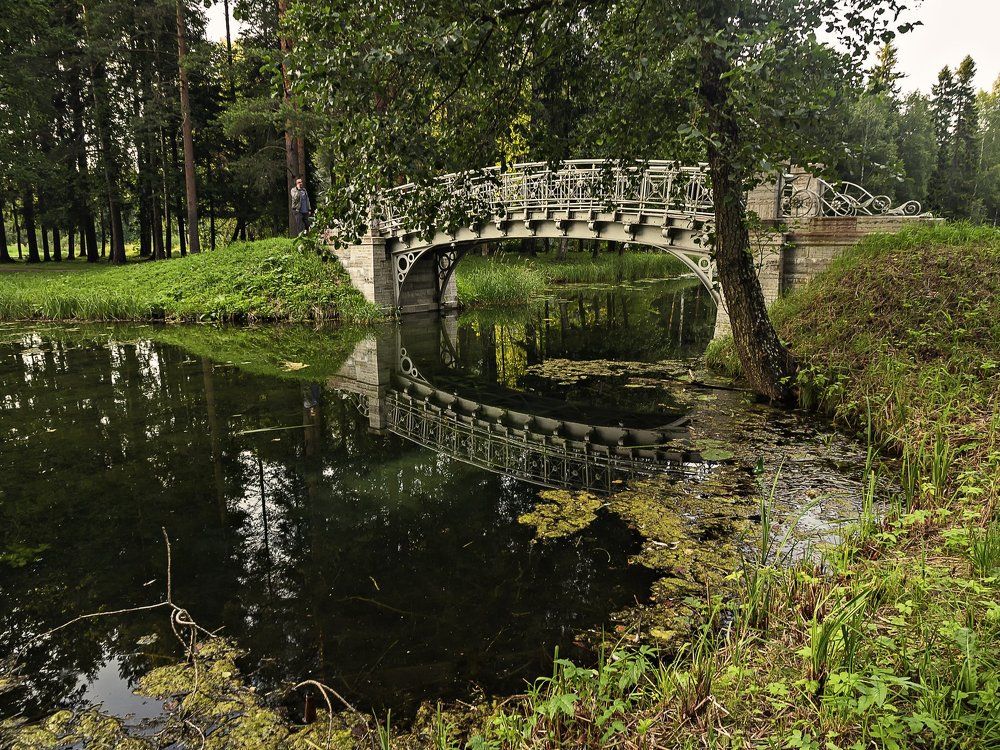 Есть в старом парке черный пруд...