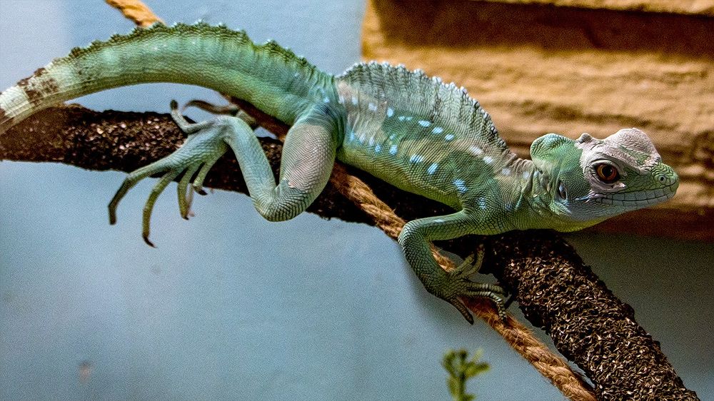 Photograph by Виталий