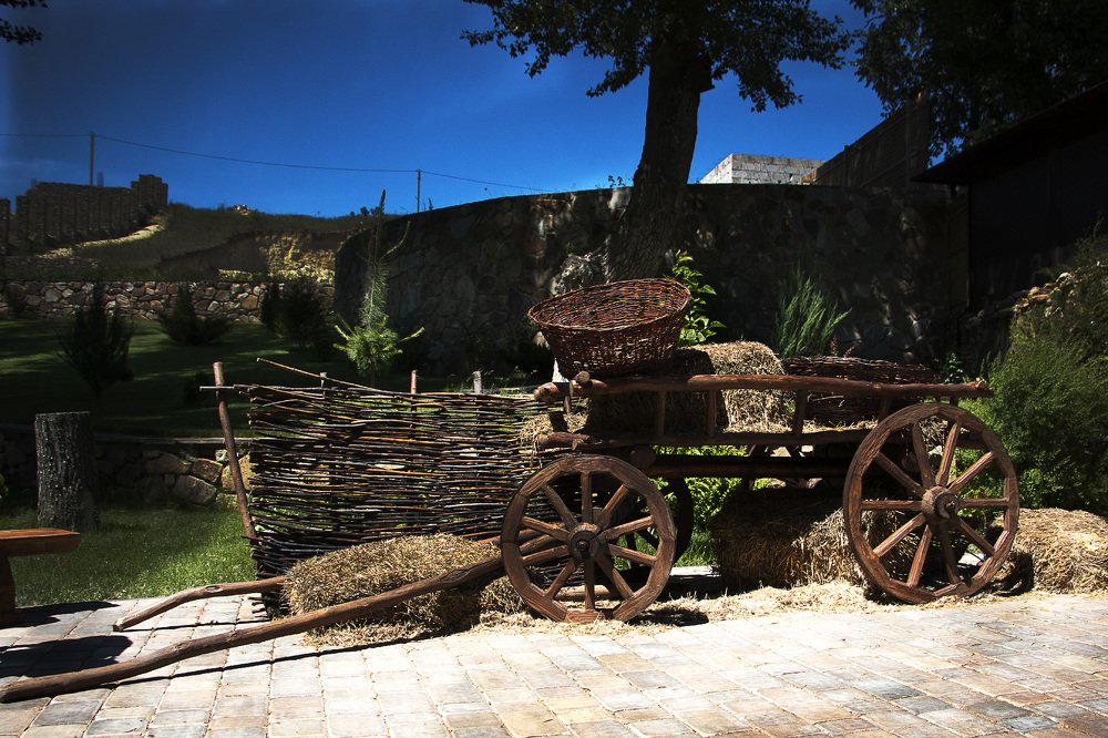 Photograph by Виталий