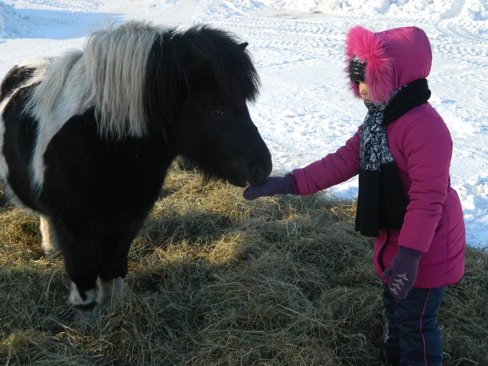 доброта спасет мир
