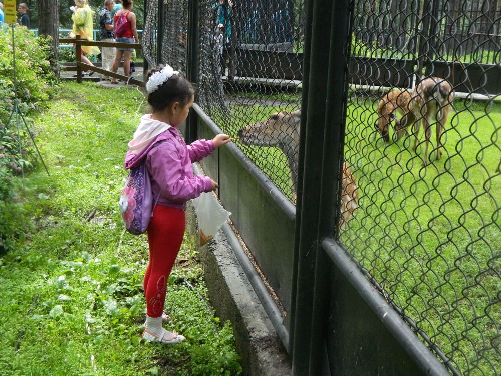 любой малыш любит сладкое