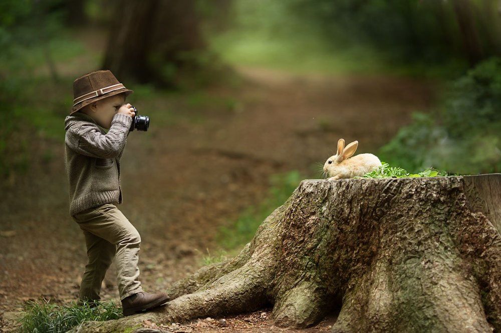 Маленький фотограф