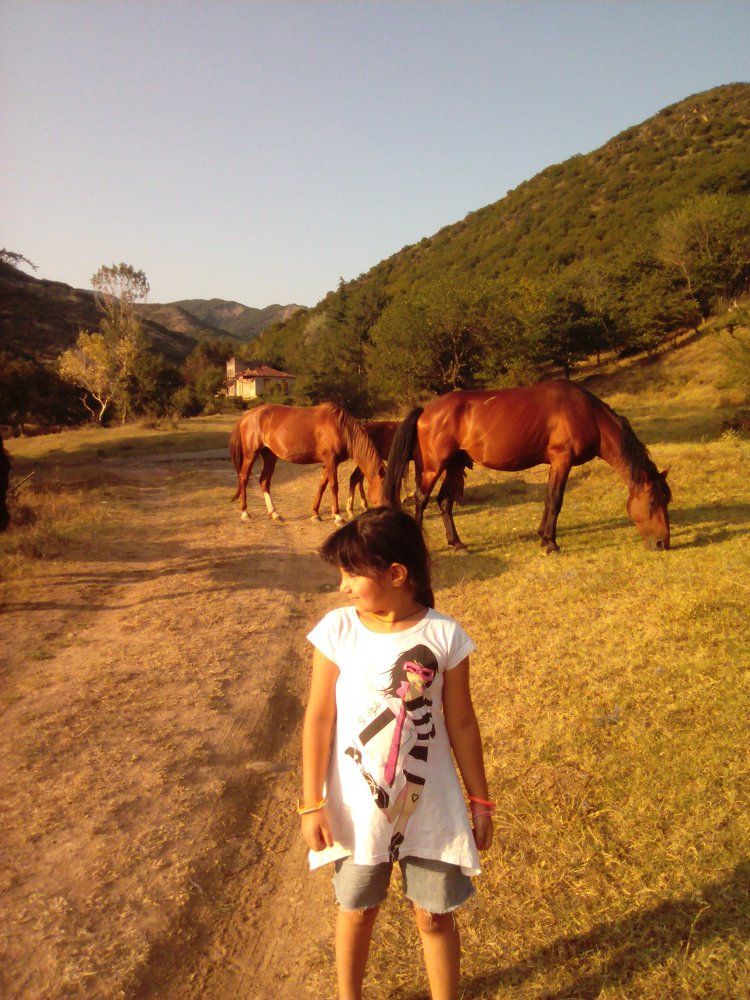 Маша-коней растеряша ;)