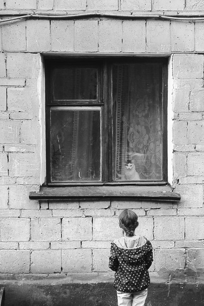 Виктория Викторовна мечтает о кошке.