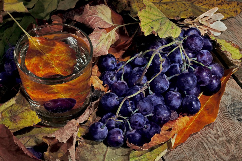 The colours of autumn