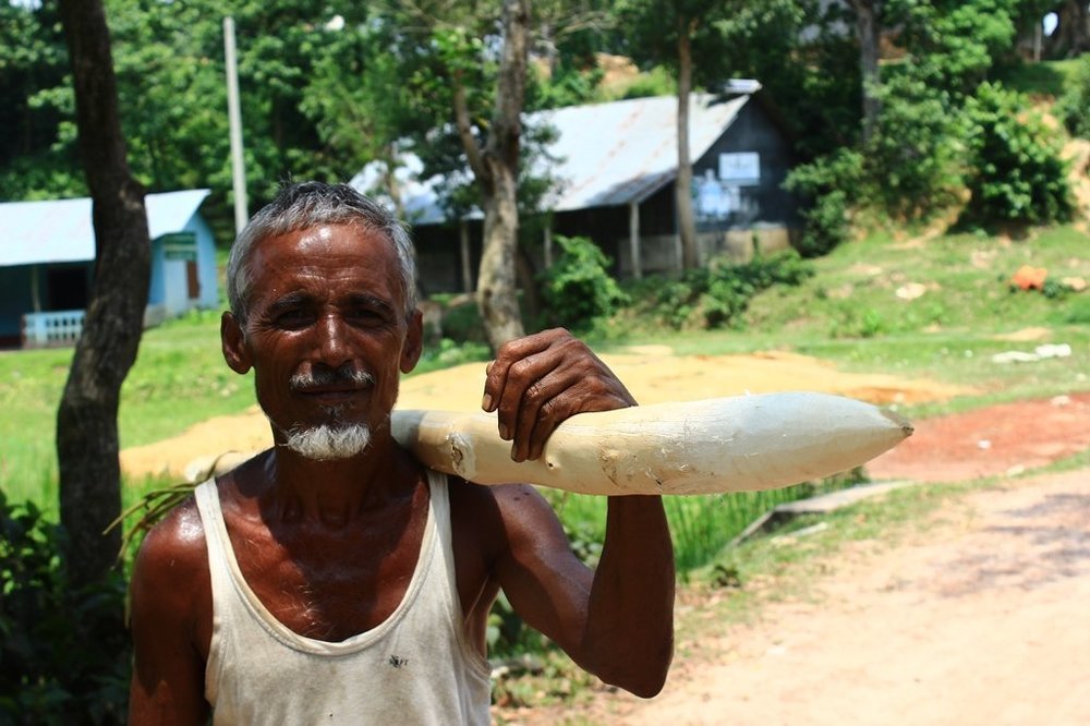 The Smiling Woodcutter