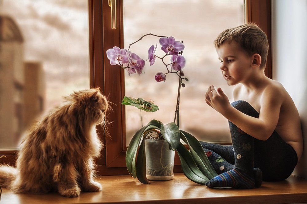 Разговор по душам