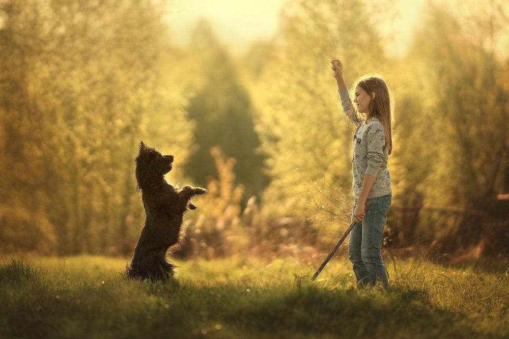 на все готов