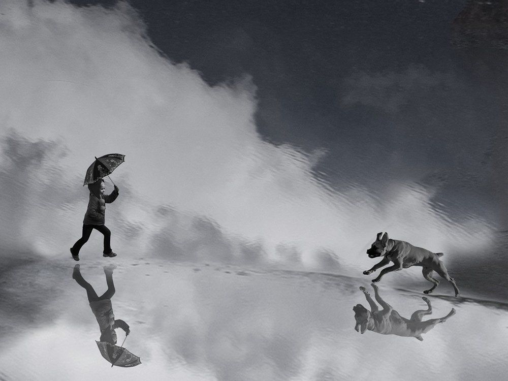 Нам не страшен серый волк