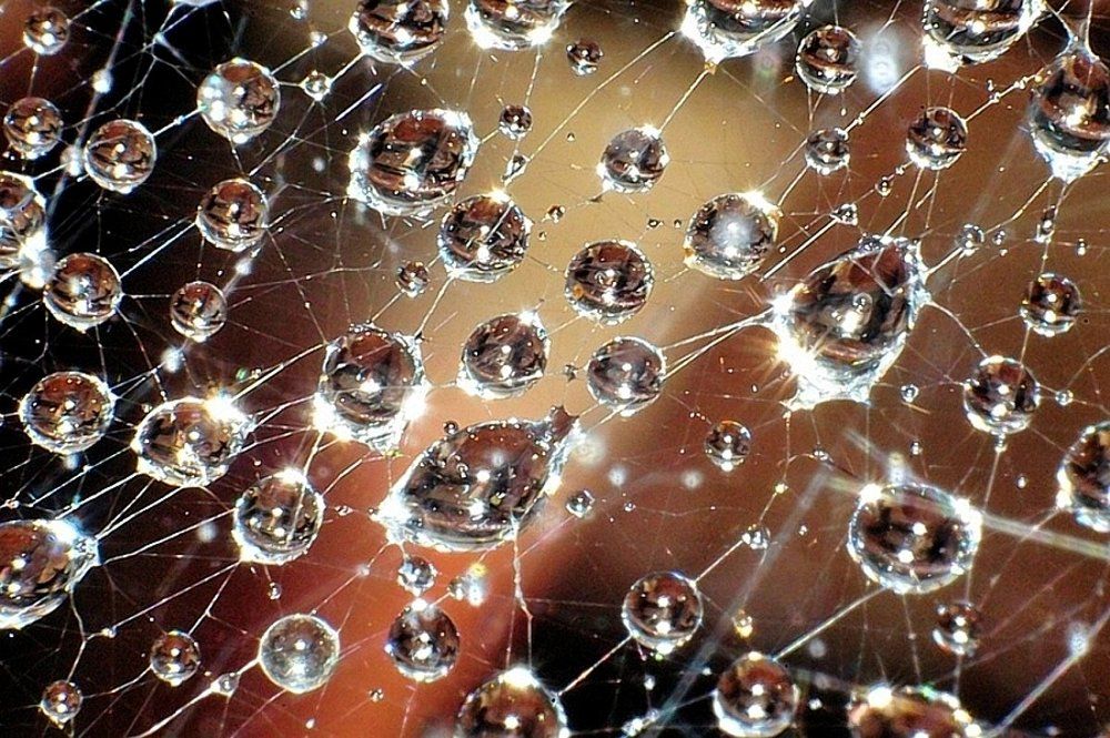 Скопления цивилизаций..