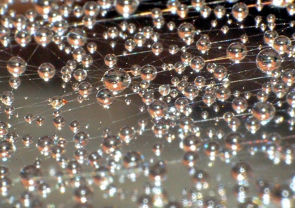 Скопления цивилизаций..3