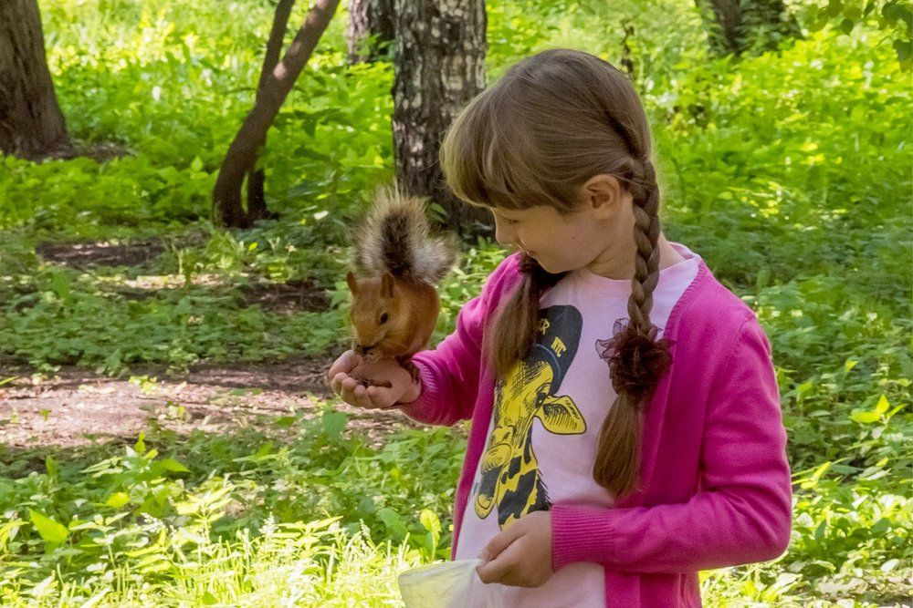 Девочка и белочка