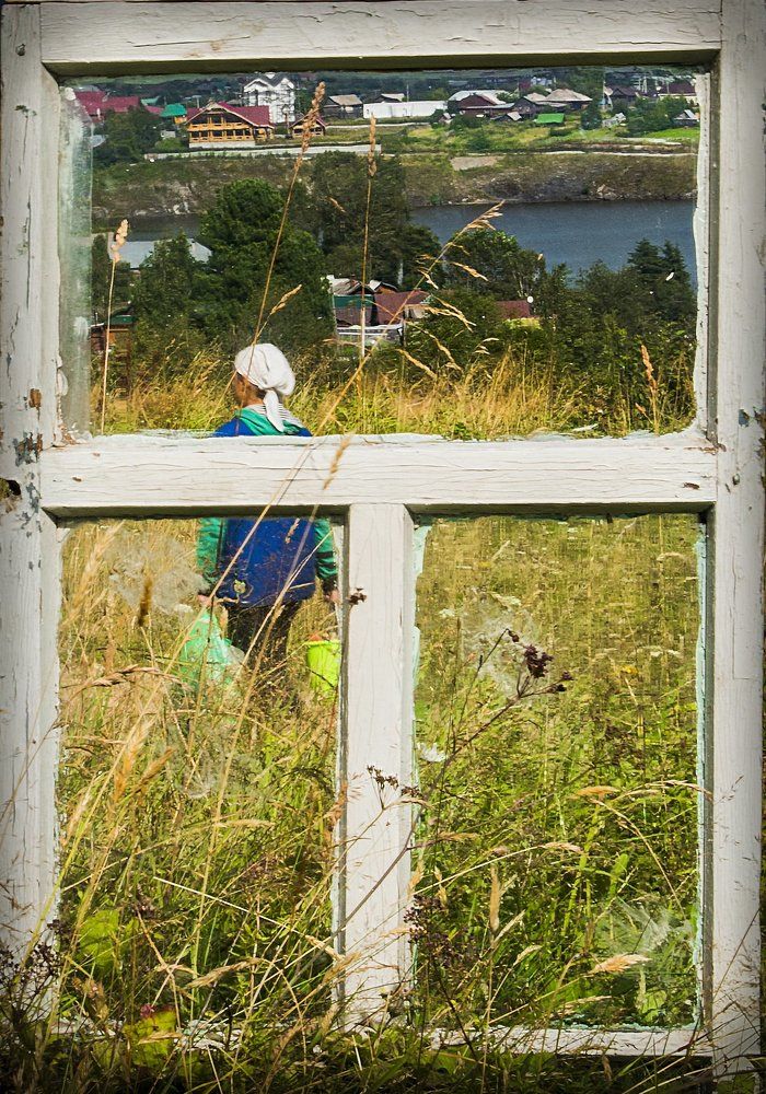 Лето, за моим окном.