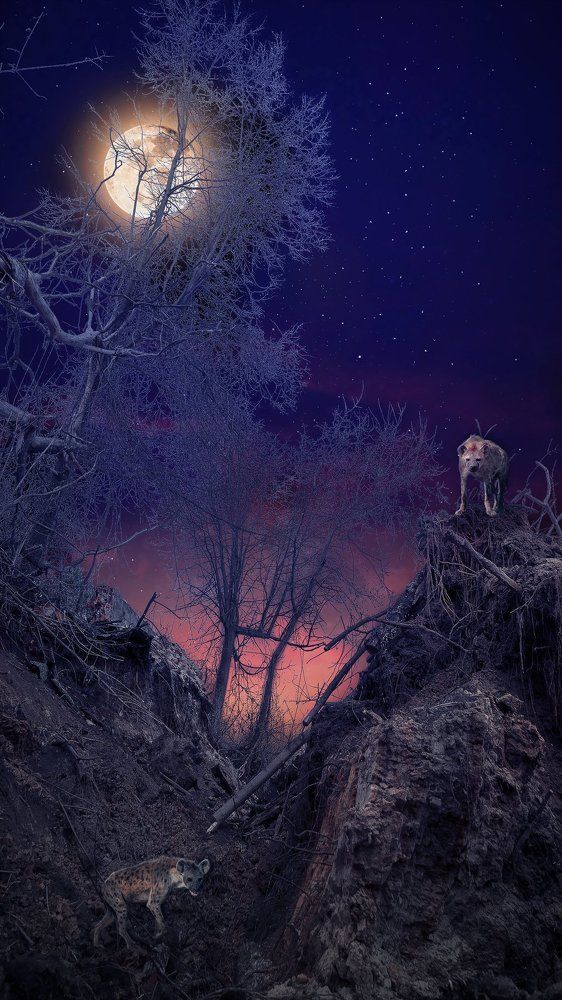 УГОЛОК ДИКОЙ ПРИРОДЫ