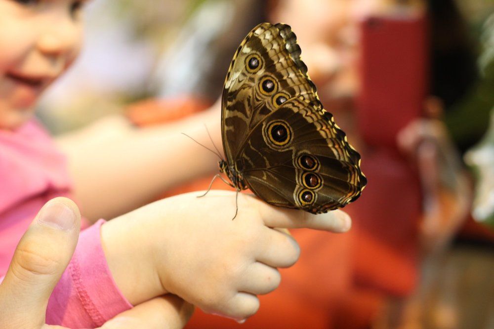 знакомство