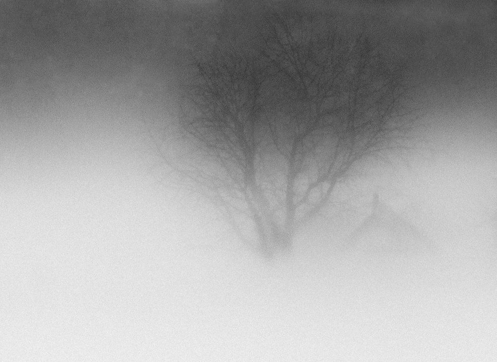 Photograph by Александр Єлаш