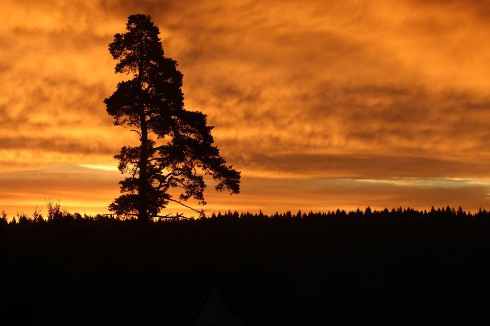 небесная лава