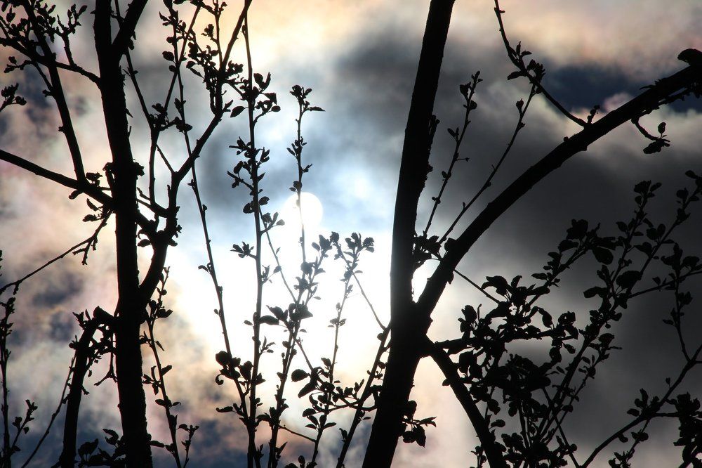 игра света и цвета