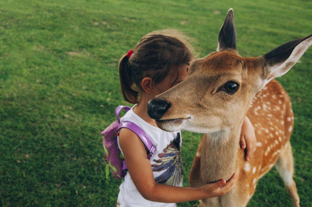 Photograph by Логинова Юлия