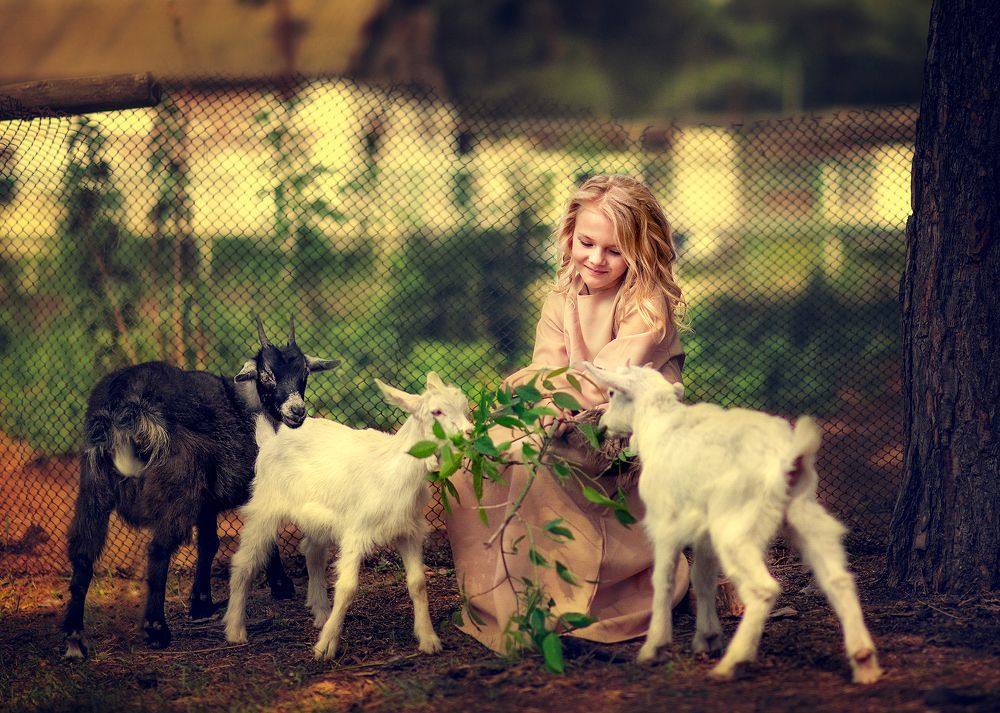 Photograph by Елена