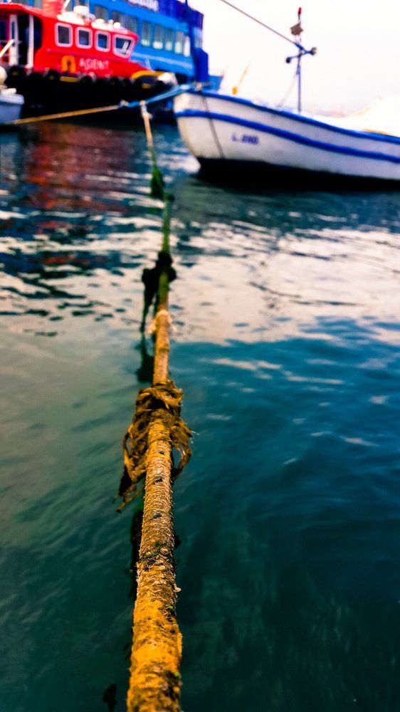 Deniz