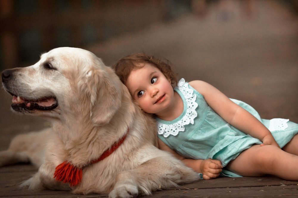 "защитник и друг"