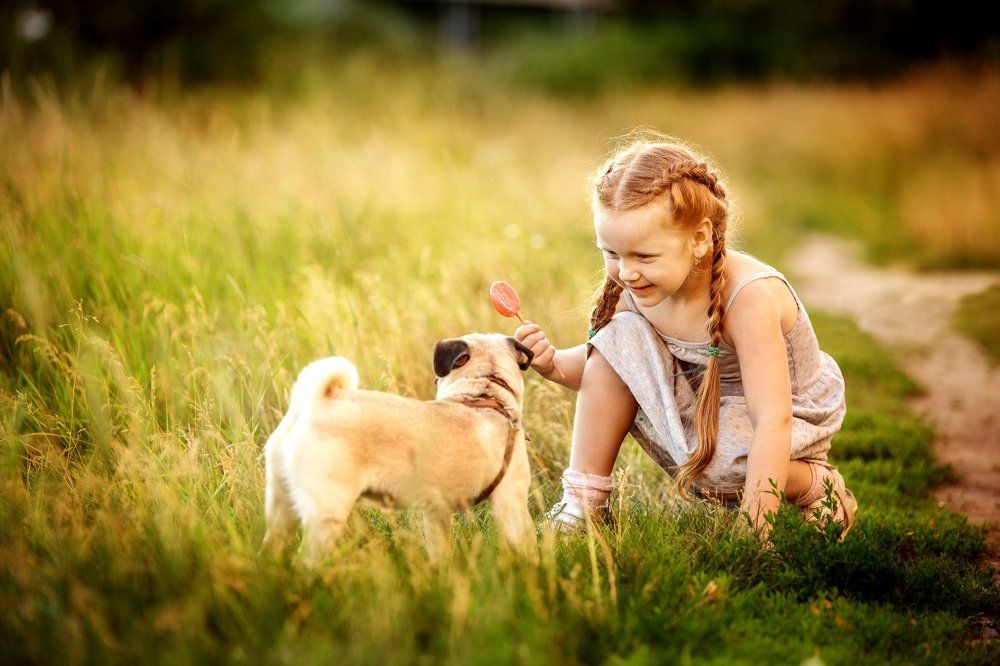 Photograph by Жулина Ирина