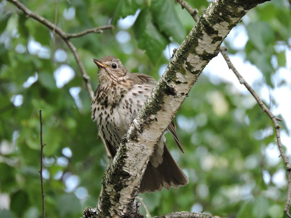 Photograph by Anna Pankratova