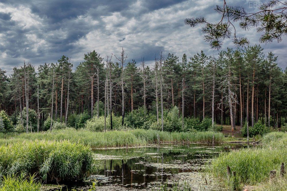 Таинственное озеро