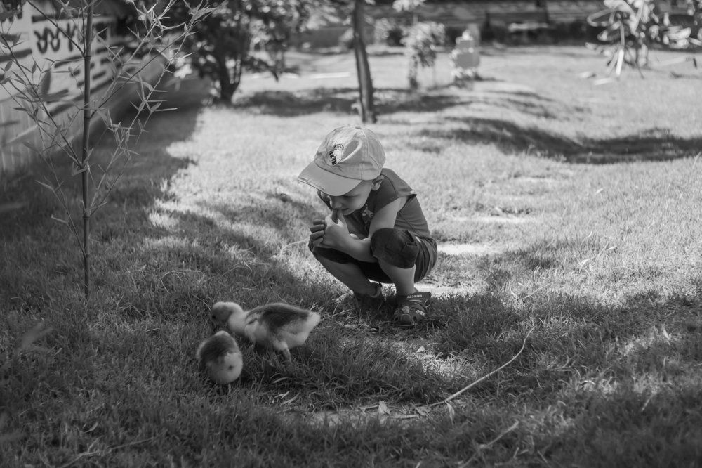 Photograph by Mary Petrova