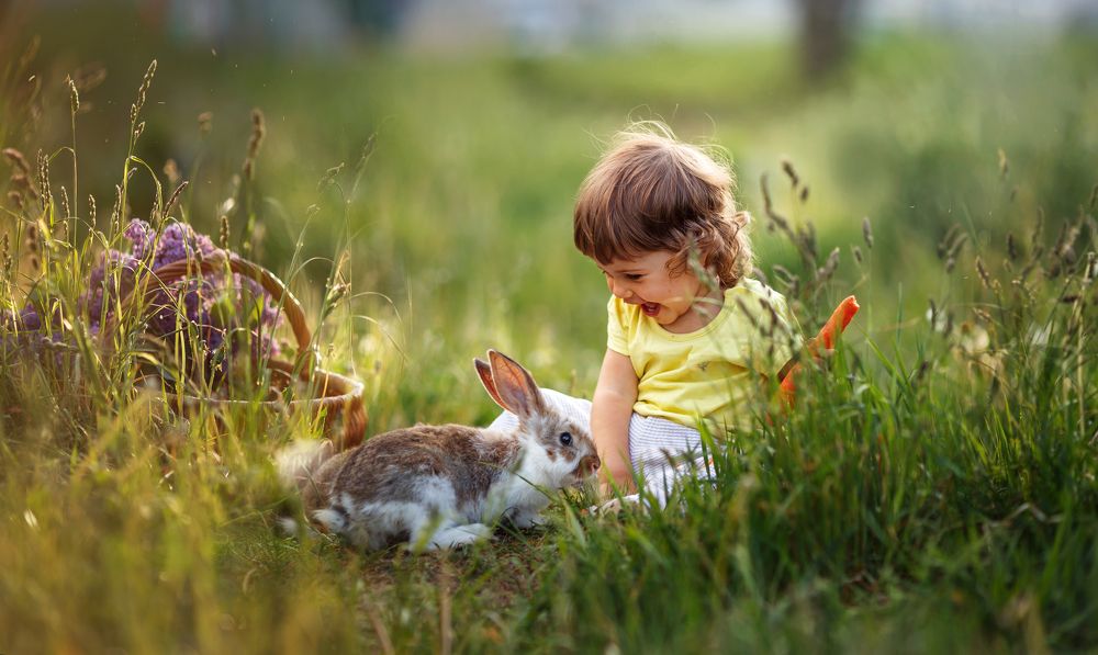 Раз, два, три, четыре, пять! Вышел зайчик погулять.