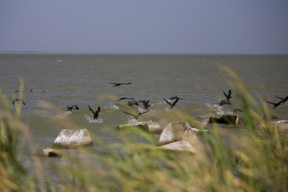 Photograph by Ольга Яковлева