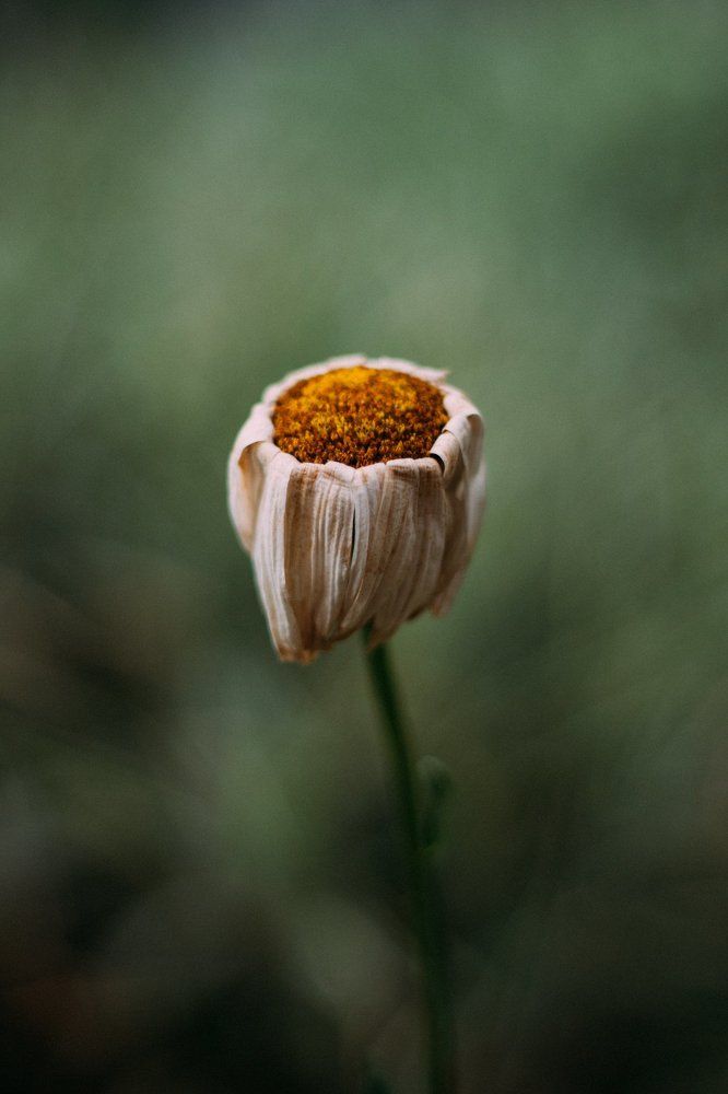привет, осень