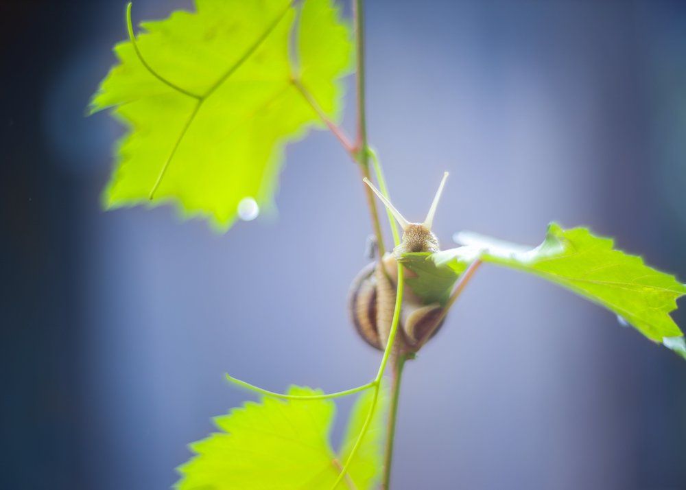 Photograph by Сергей