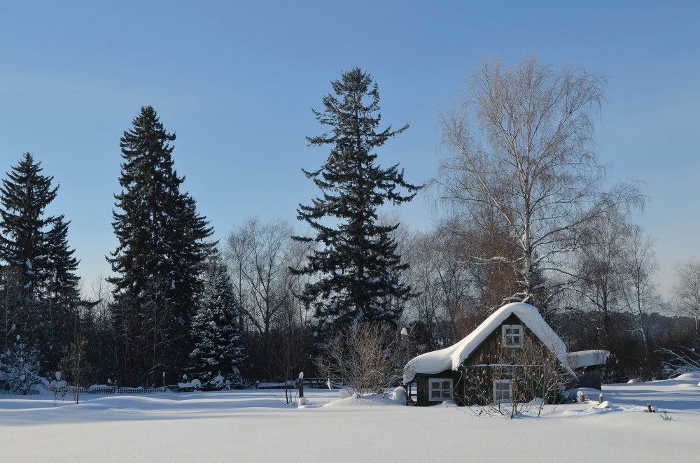 Снежная зима