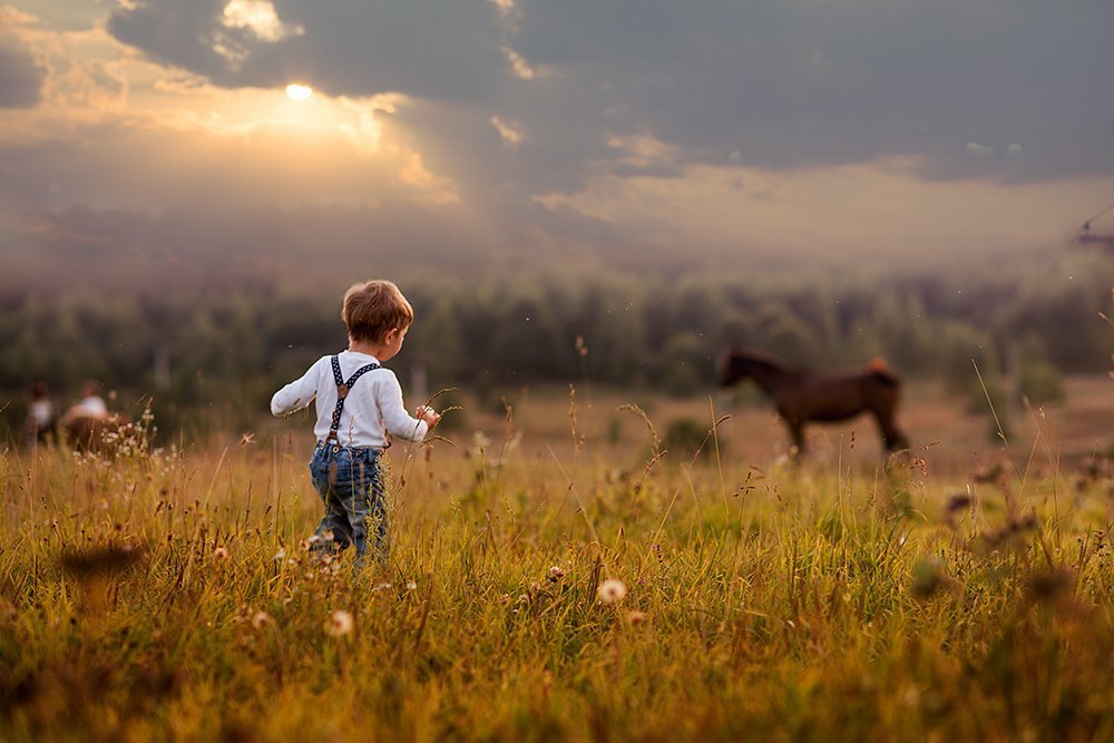 ...ходят кони