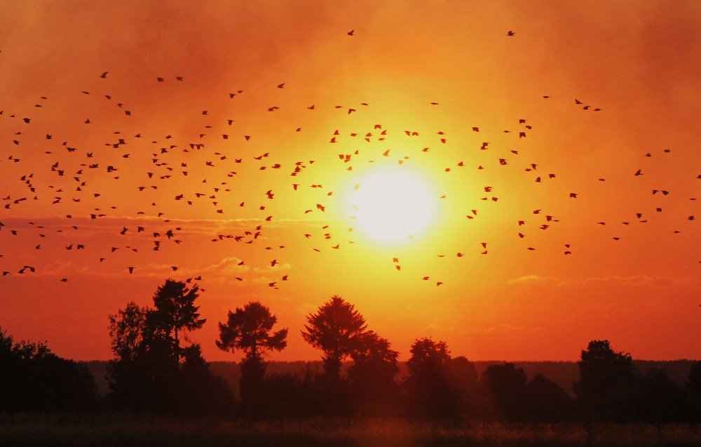 Вечерние полеты