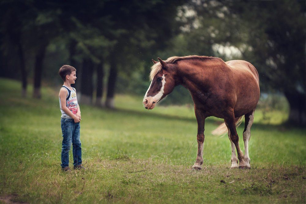 неожиданная встреча