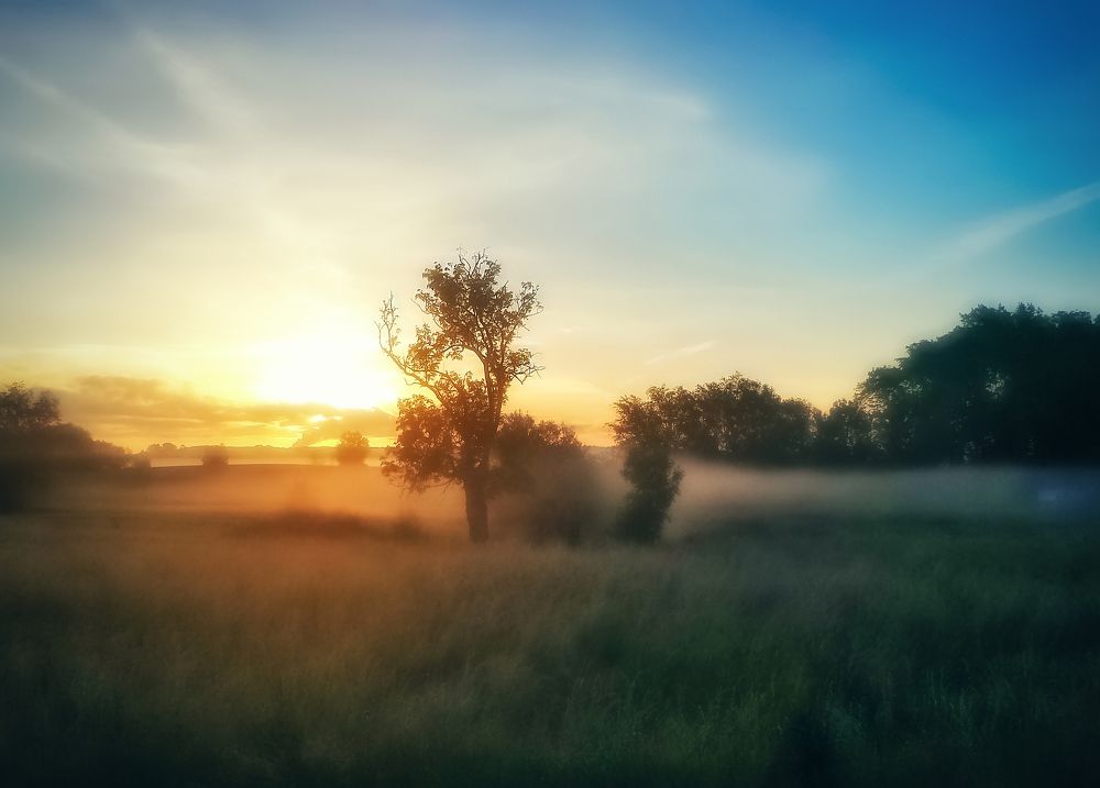 The morning mist is streaming above the ground ...