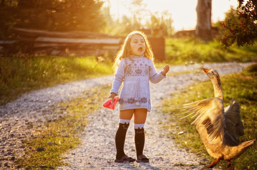 ты не бойся, это гусь