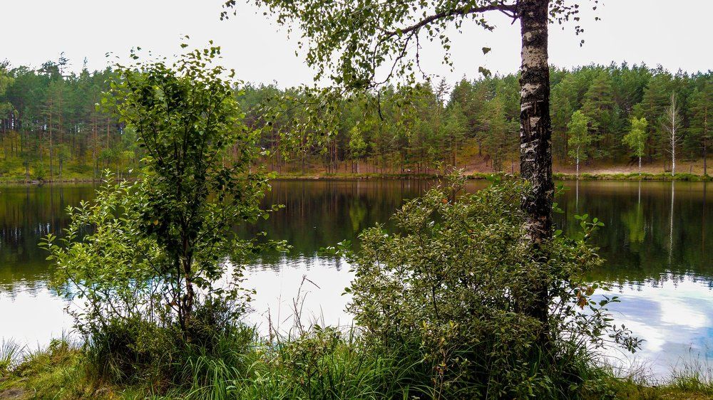 Псковские озёра.