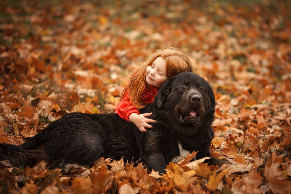 Photograph by Старкова Татьяна