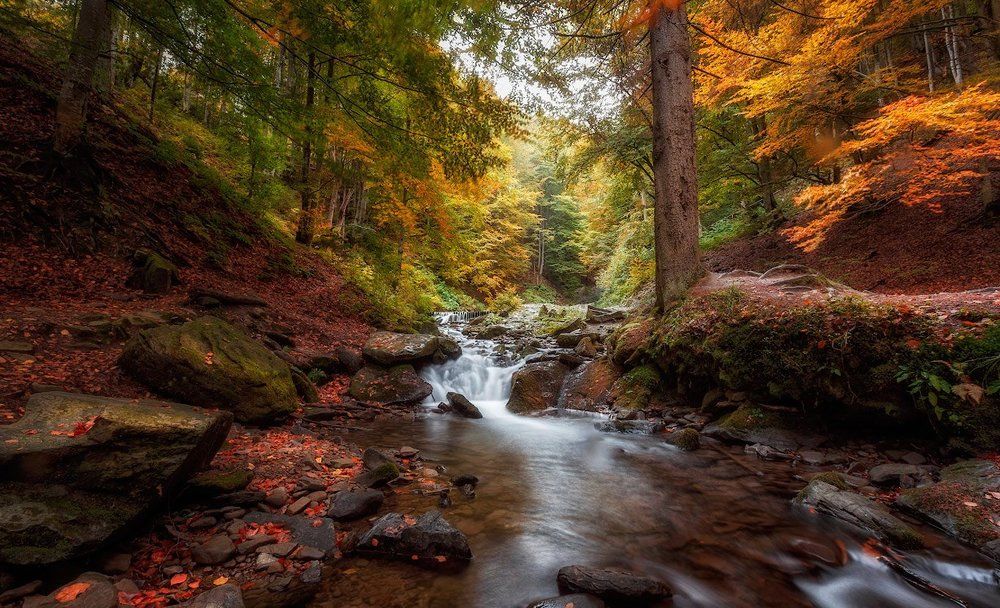 Вверх по течению