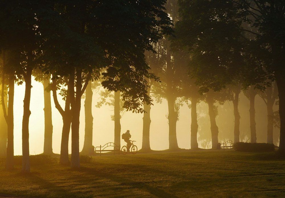 В летнее утро