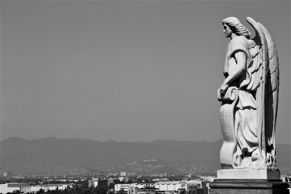 Guardian of the heights