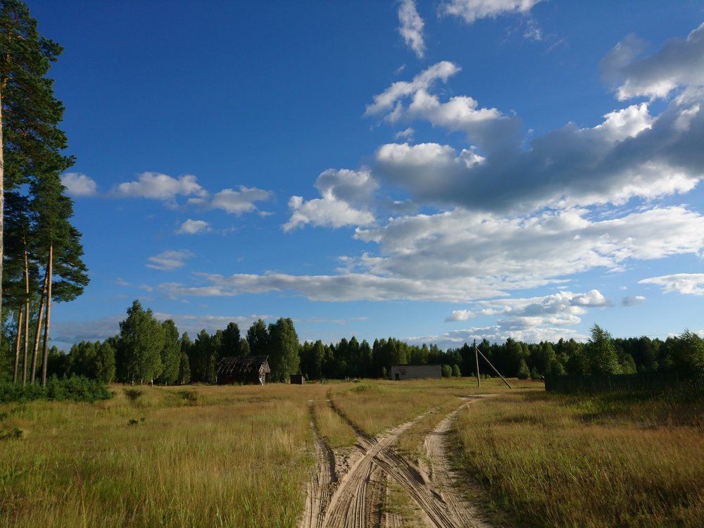 На распутье