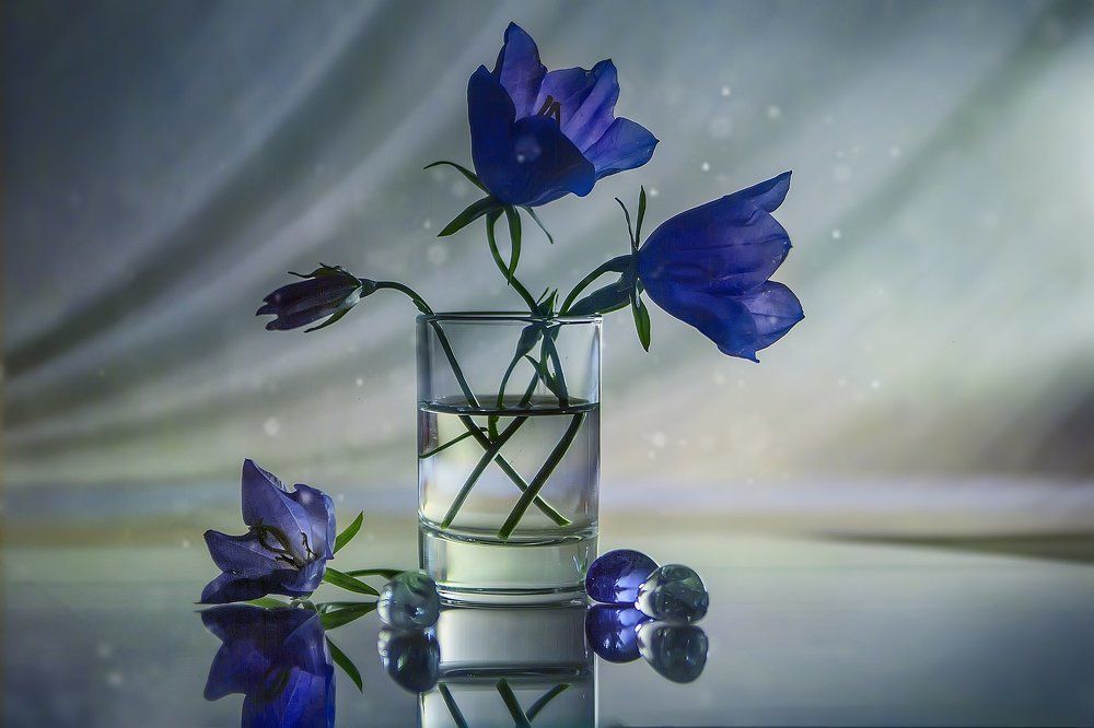 краски лета