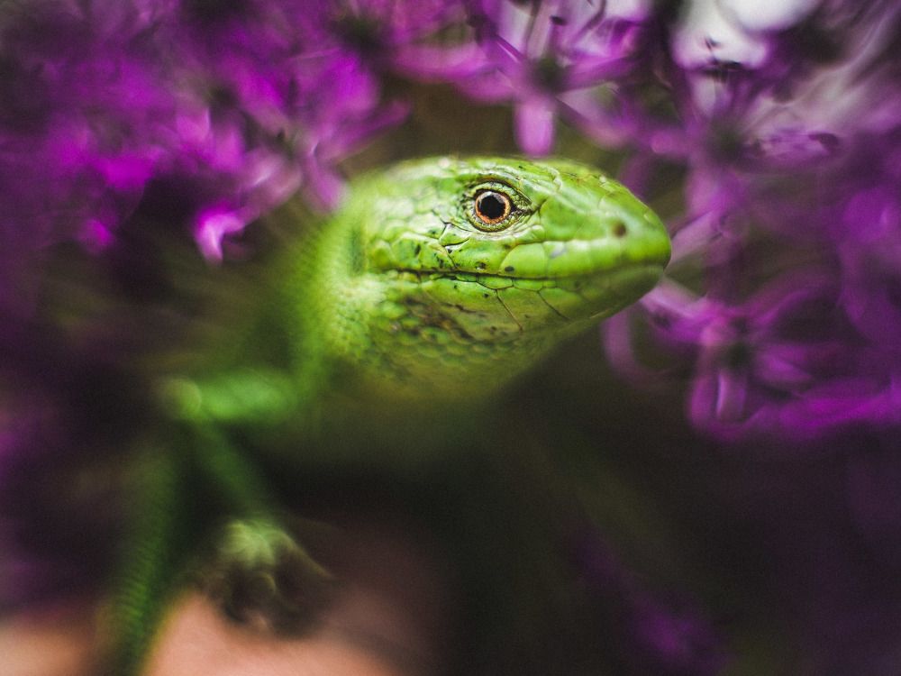 Photograph by Сергей