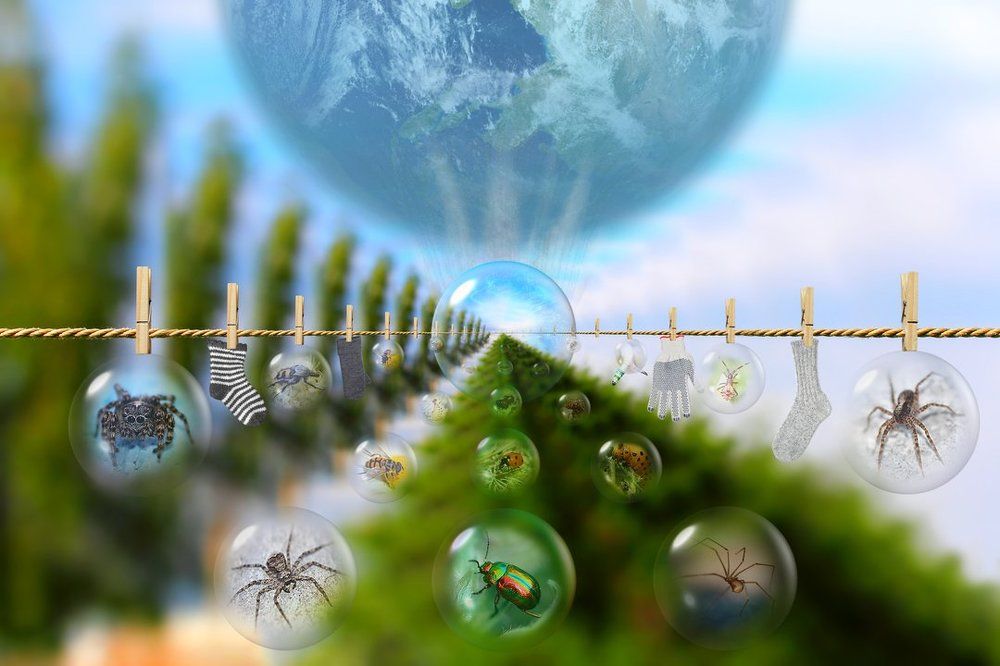 Портал. Миграция...